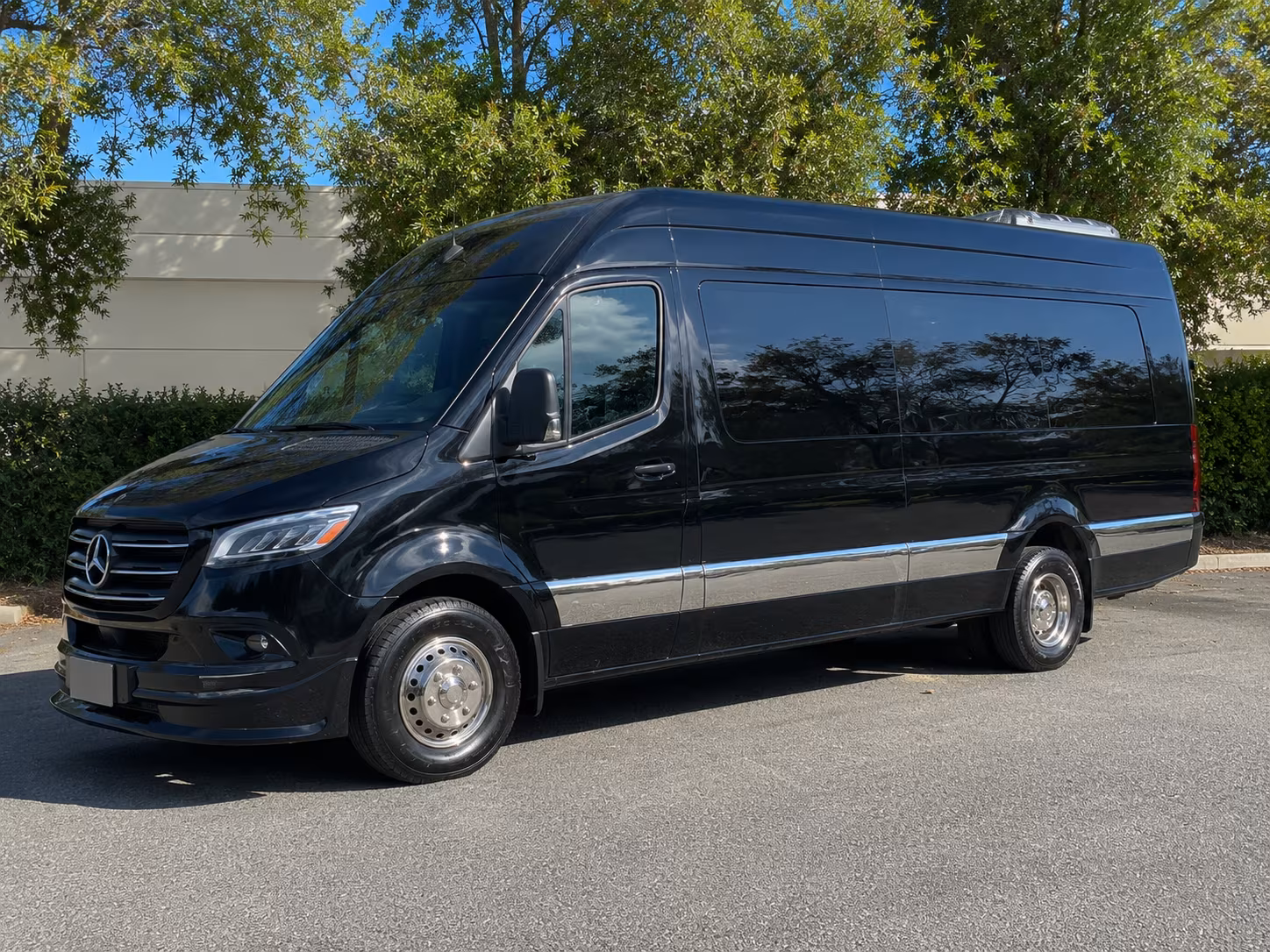 sprinter vans and minibuses for small group corporate trips in hamilton